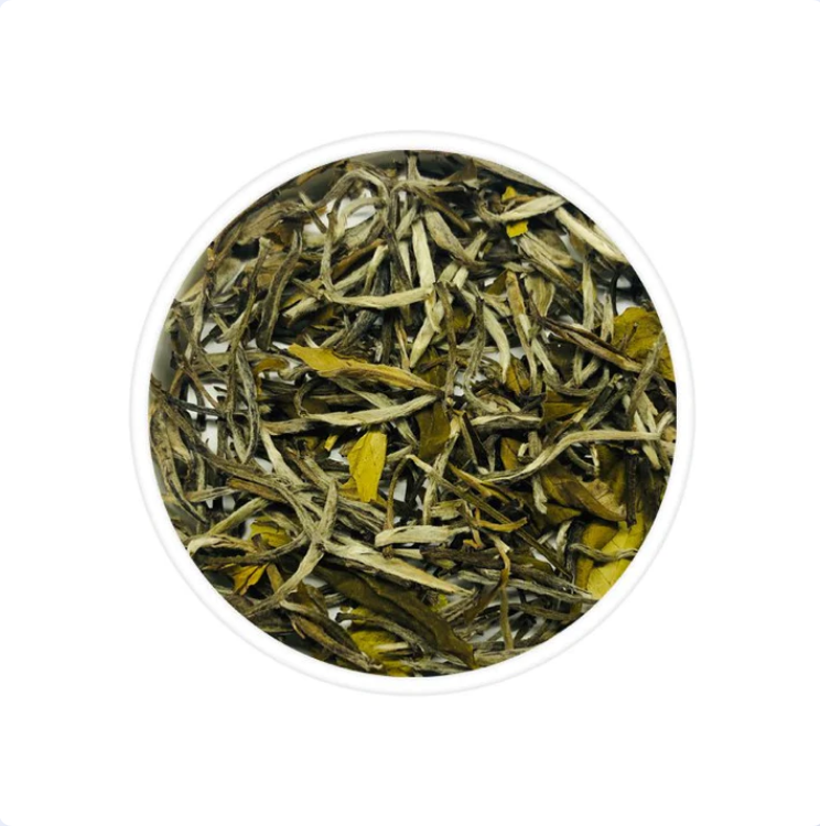 White Tea Chabessey Silver Needle Single Origin Nepal